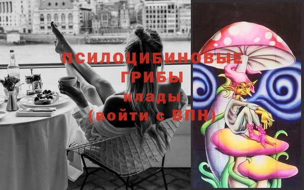 молекула духа Беломорск