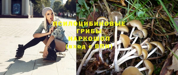 mix Богородицк