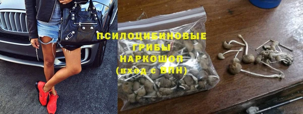 первитин Белокуриха